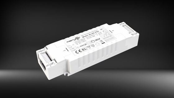 30W DALI DT6 And PushDIM 500ma to 1000mA Dimmable LED Driver For LED Downlight